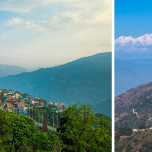 MISTY HIMALAYAN DELIGHT