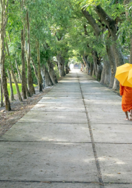Monks walking by foot