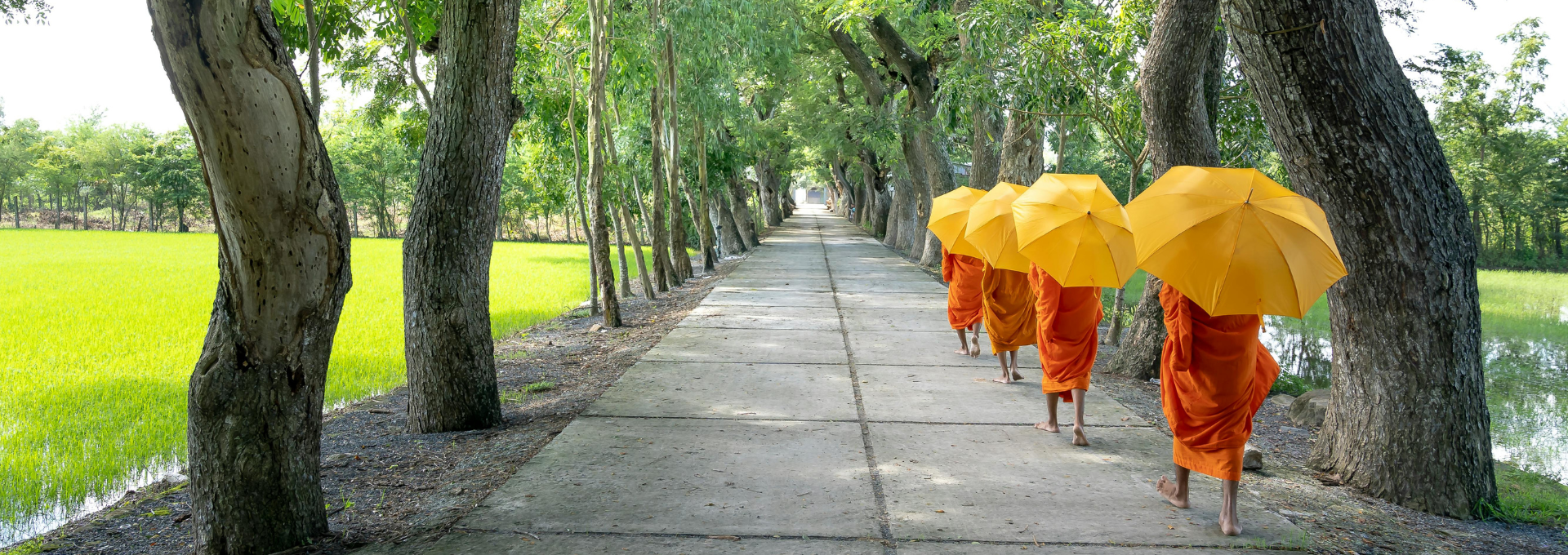 Monks walking by foot