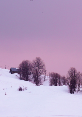 Snowfall, Kashmir