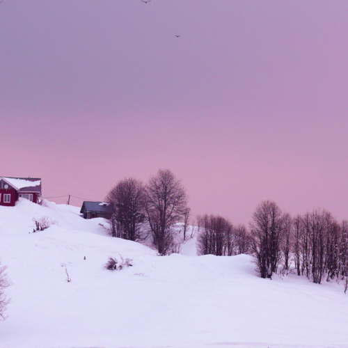 Snowfall, Kashmir