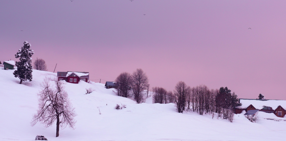 Snowfall, Kashmir