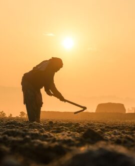 Farming